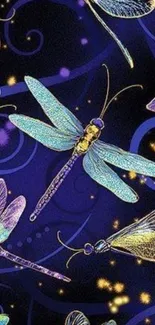 Colorful dragonfly night wallpaper design.