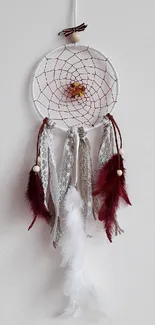 Elegant dreamcatcher with maroon and white feathers on a light wall background.