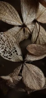 Close-up of dried leaves in earthy tones.