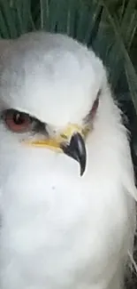 Majestic eagle perched among lush greenery with a focused gaze.