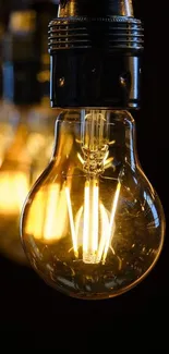 Close-up of glowing Edison bulb with warm, vintage ambiance.