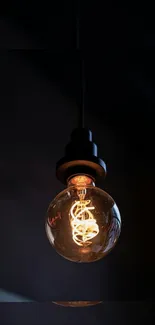 Elegant Edison bulb with warm glow on dark background.