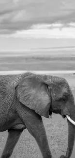 Black and white elephant standing in open landscape with cloudy sky backdrop.