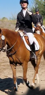 Riders elegantly competing in equestrian sport on brown horses.