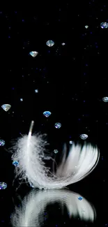 White feather with gemstones on black backdrop.