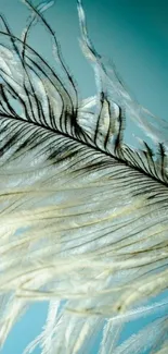 Elegant feather on light blue background for mobile wallpaper.