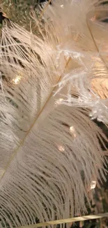 Delicate white feather mobile wallpaper with festive lights.