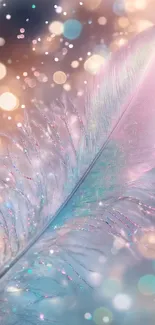 Dreamy feather with bokeh lights background.