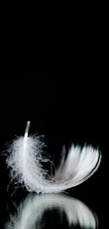 Minimalist white feather on black background mobile wallpaper.