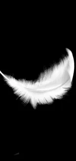 White feather on black background, elegant and minimalist mobile wallpaper.