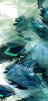 Blue-green feather-themed mobile wallpaper.