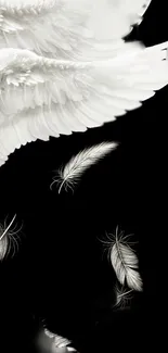 Black and white wallpaper with angelic wings and feathers.