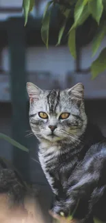 Striking cat amidst lush green leaves with a focused gaze.