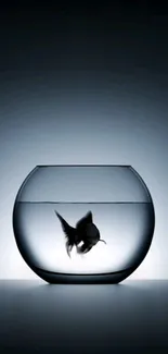 Elegant silhouette of a fish in a glass bowl on dark gray background.