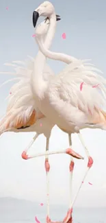 Elegant flamingo pair dancing against a light blue background.