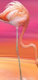 Elegant flamingo standing against sunset gradient.