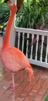 Graceful flamingo in lush tropical garden setting.