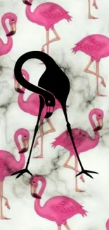 Vibrant flamingo wallpaper with pink birds and artistic design.