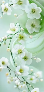 Delicate white flowers on a mint green abstract background