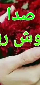 Hands holding red flowers with Arabic text overlay.