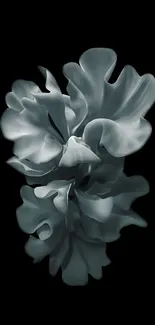 Abstract dark gray floral art wallpaper with elegant petals on black background.