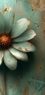 Elegant daisy with textured background.