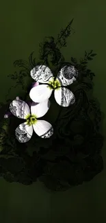 White flowers on dark green background, artistic mobile wallpaper.