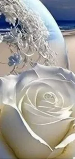 White rose with beach backdrop in elegant design.