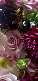 Close-up of pink and maroon flowers in bloom.