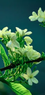 White flowers and green leaves wallpaper for mobile.