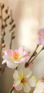 Elegant wallpaper with pink and white blossoms.