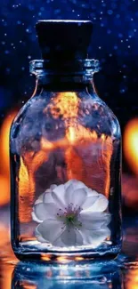 Floral glass bottle with fiery background and blue night sky.