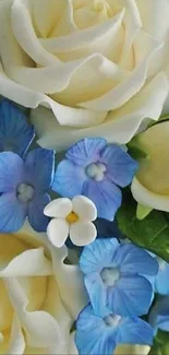 Ivory roses and blue flowers create a stunning floral bouquet wallpaper.