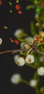 Mobile wallpaper with white flowers on a dark background and colorful leaves.