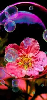 Elegant pink flower inside a vibrant bubble against a dark background.