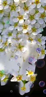 Elegant wallpaper with white flowers and colorful bubbles on a dark background.