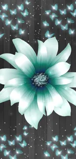 Teal flower with butterflies on dark background.