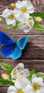 A blue butterfly on wood with white flowers.