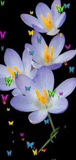 Beautiful flowers and butterflies on a black background wallpaper.