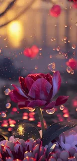 Elegant evening floral scene with tulip and raindrops at sunset.