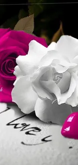 Magenta and white roses with pink hearts wallpaper.