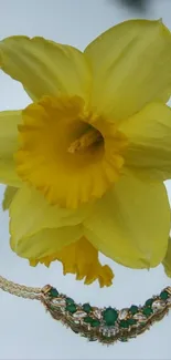 Yellow flower with ornate necklace on elegant background.