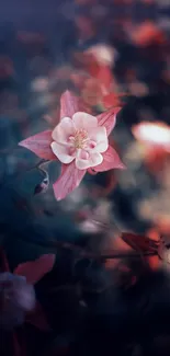 Close-up of a pink flower in a dreamy setting with blurred background.