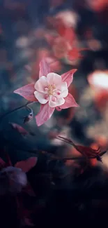 Close-up of a pink and white flower in soft focus on a dark background.