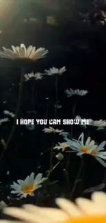 Daisy flowers wallpaper with warm backlight and text overlay: 'I hope you can show me.'