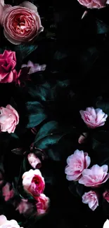 Elegant mobile wallpaper featuring pink roses and dark green leaves.