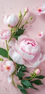 Elegant pink peony floral mobile wallpaper with green leaves.