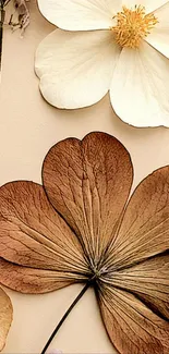 Elegant dried flowers and white petals on mobile wallpaper.