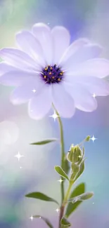 Elegant mobile wallpaper featuring a white flower with a purple bokeh background.