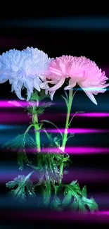 Elegant mobile wallpaper with vibrant flowers on a black background.